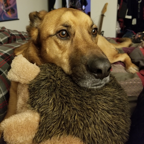 Meet your Posher, Ash - Picture 2 of 2